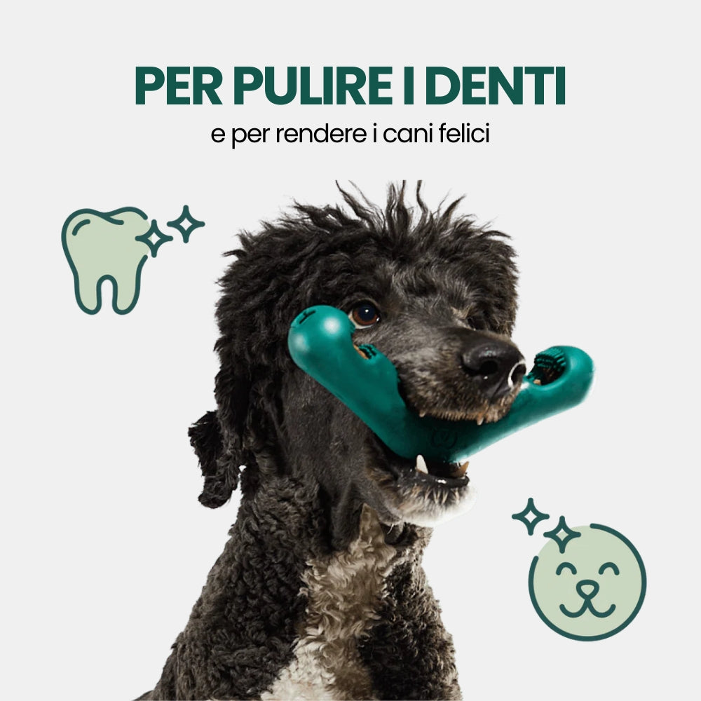 Kit Pulizia Denti per Cani