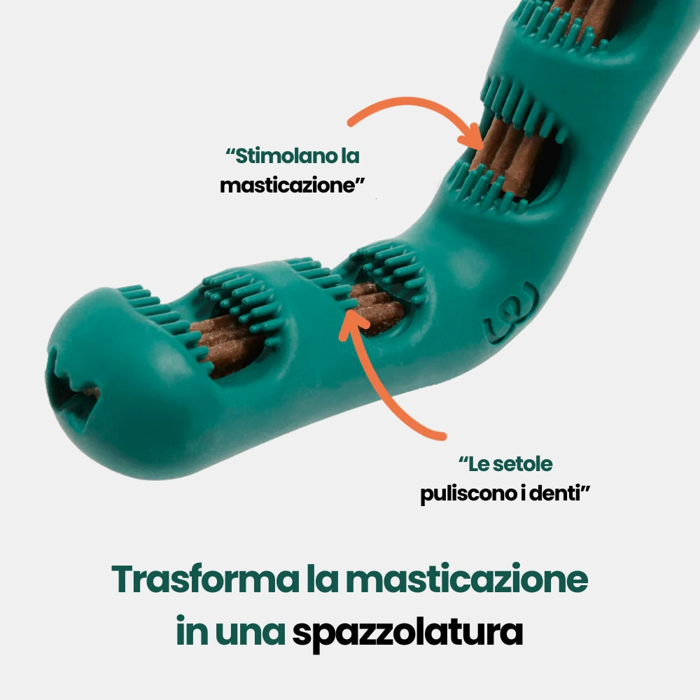 Kit Pulizia Denti per Cani