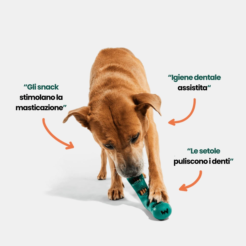 Kit Pulizia Denti per Cani